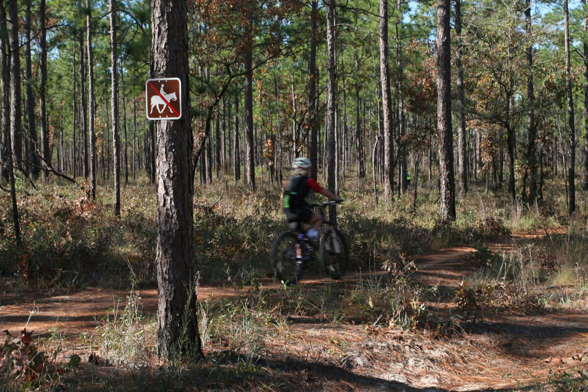 matson hill mountain bike trail