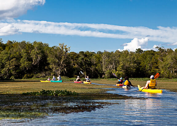 Winter on the St. Marks River : Visit Tallahassee