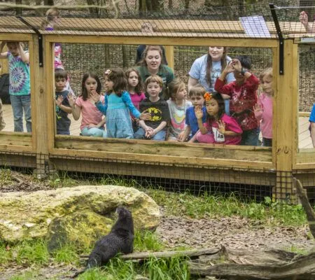 Tallahassee Museum