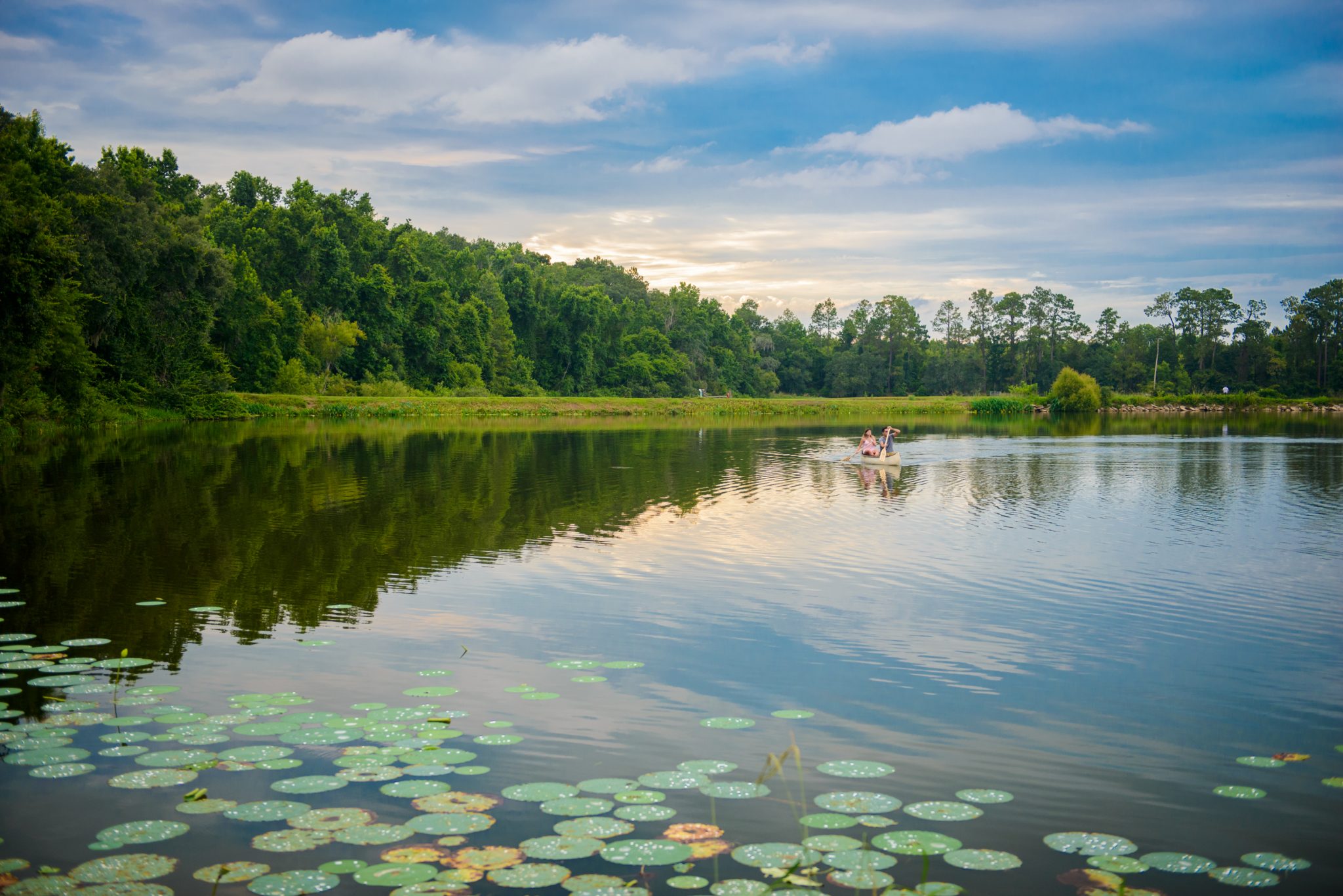 Oceans Are The Real Continents • Visit Tallahassee