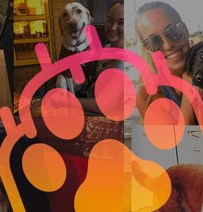 Tallahassee Dog Friendly Restaurants