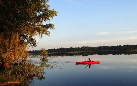 paddling spotting