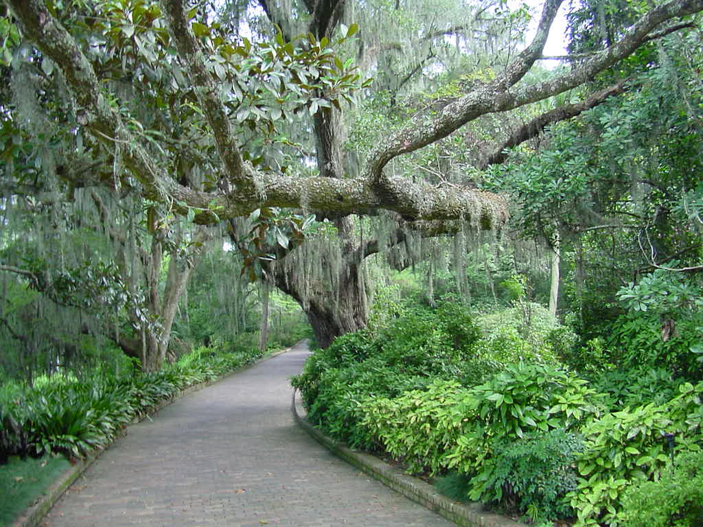 Alfred B Maclay Gardens State Park Visit Tallahassee