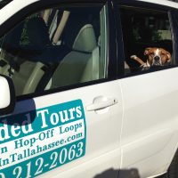 Guided Tours in Florida