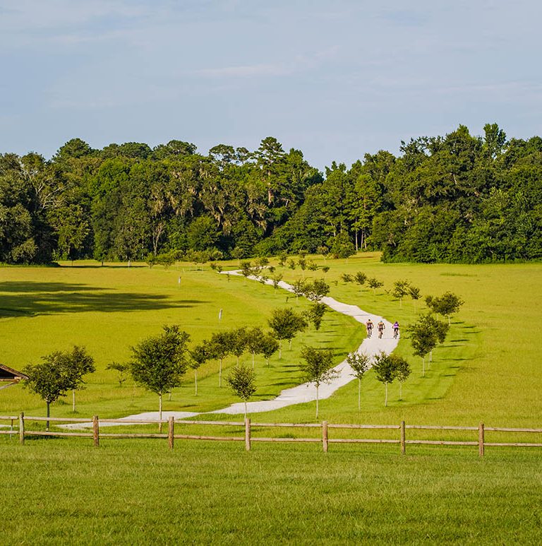 Things To Do, Events & Information in Tallahassee • Visit Tallahassee