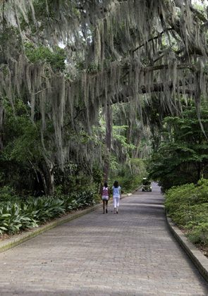 Essential Gardens to Visit in Tallahassee