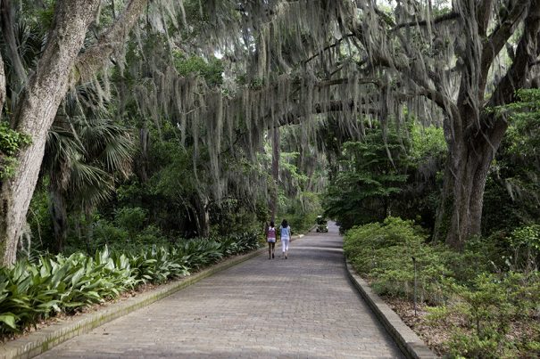 Essential Gardens to Visit in Tallahassee • Visit Tallahassee