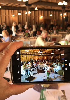 Celebrating National Family Reunion Month in Tallahassee