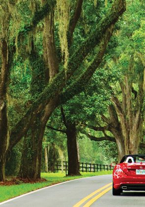 A Tour of Tallahassee's Canopy Roads
