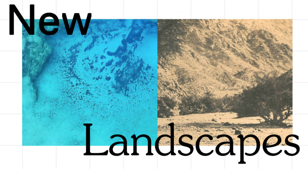 New Landscapes Exhibition