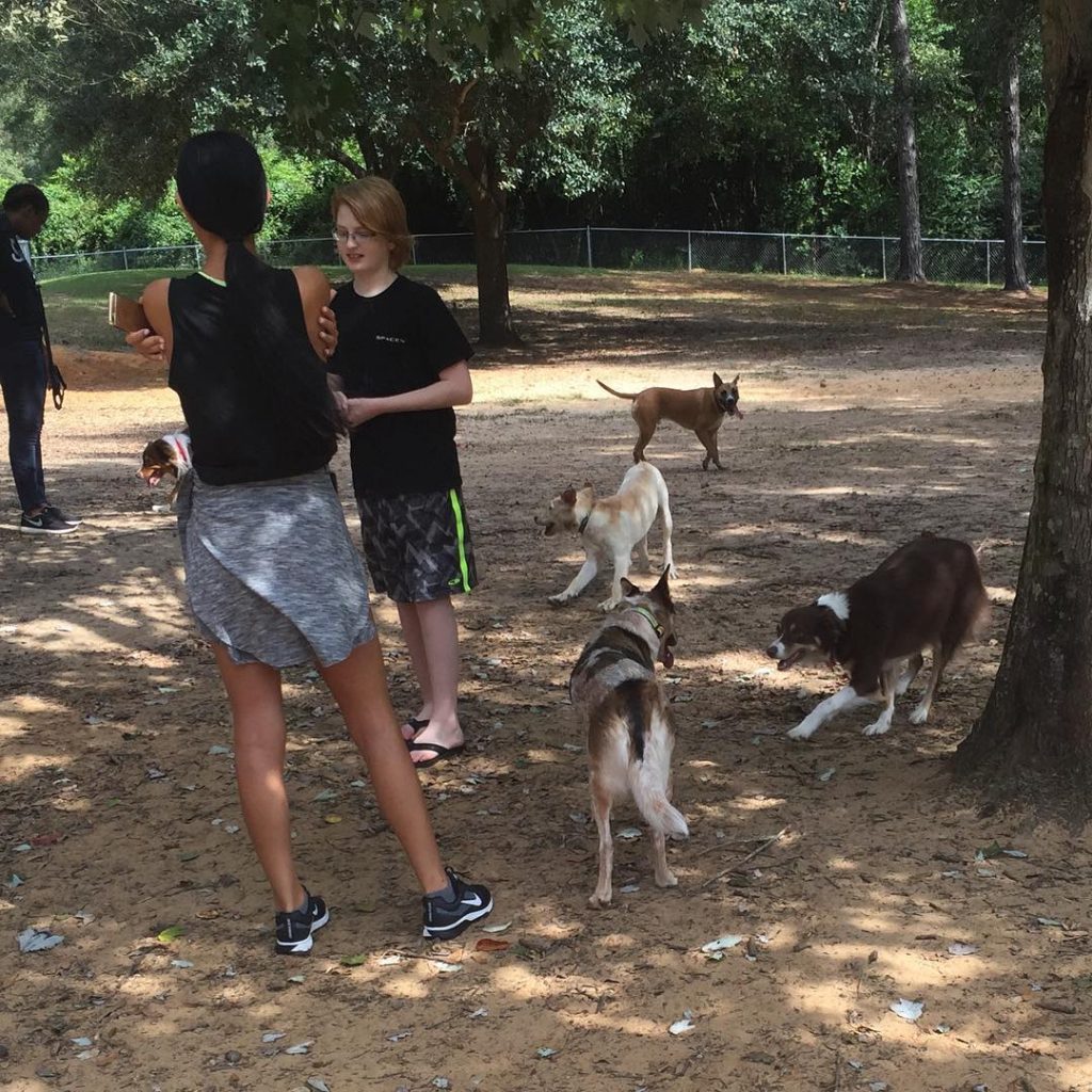 5 Dog Friendly Parks in the Tallahassee Area • Visit Tallahassee