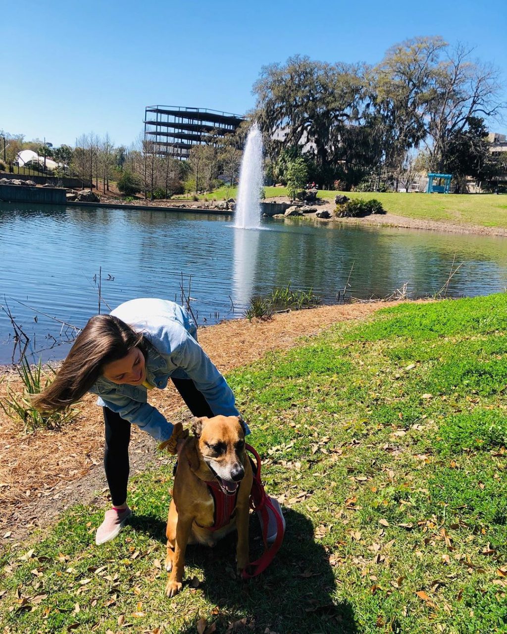 10 Things To Do With Your Dog In Tallahassee • Visit Tallahassee