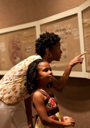 Explore the Culture, Sites and Stories of African Americans in Tallahassee 