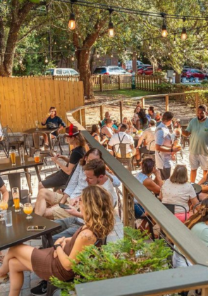 A Tour of Tallahassee's Beer Gardens