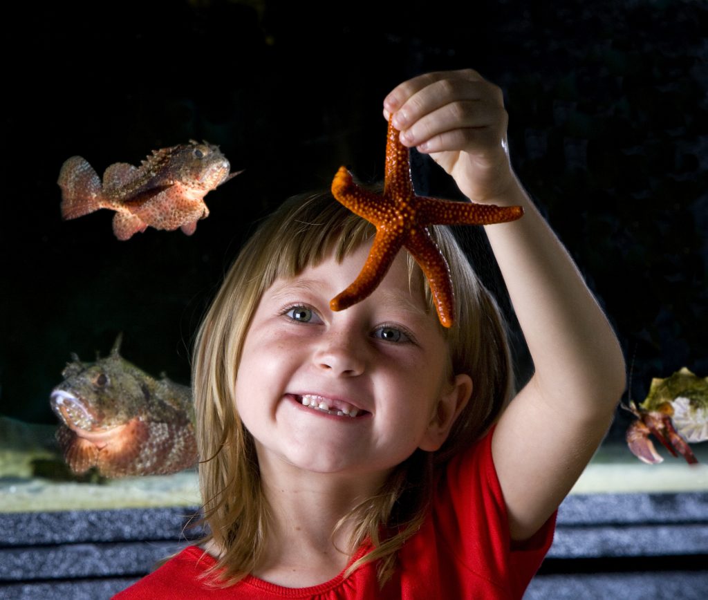 Young girl with starfish at the Gulf Specimen Marine Lab