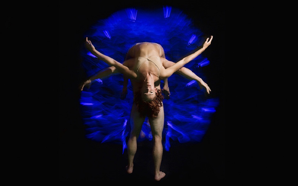 Pilobolus
