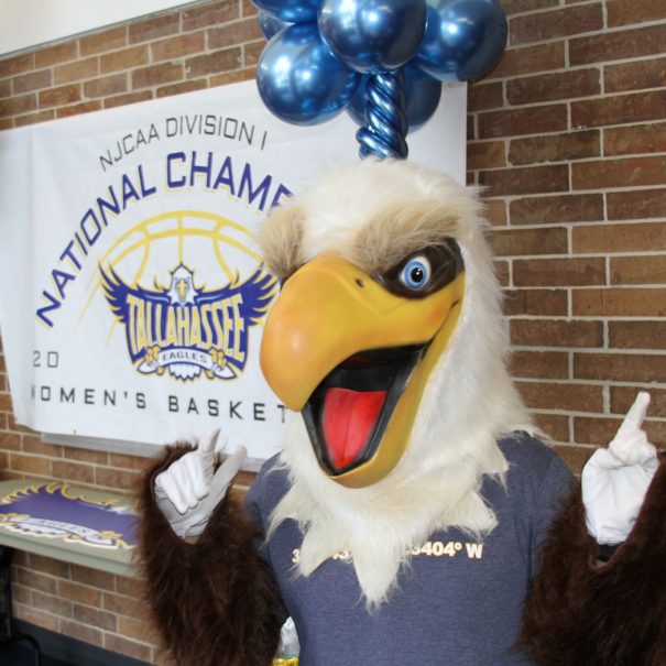 TCC Eagle (mascot)