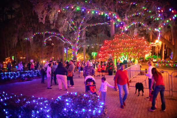 dorothy b oven park holiday lights and people