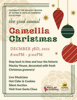 Camellia Christmas