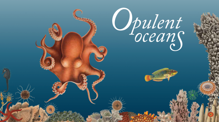 Opulent Oceans Exhibit