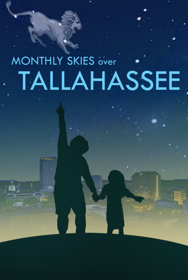 montly skies over tallahassee poster