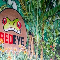 RedEye Coffee