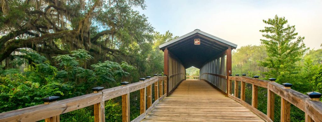 Canopy Roads • Visit Tallahassee