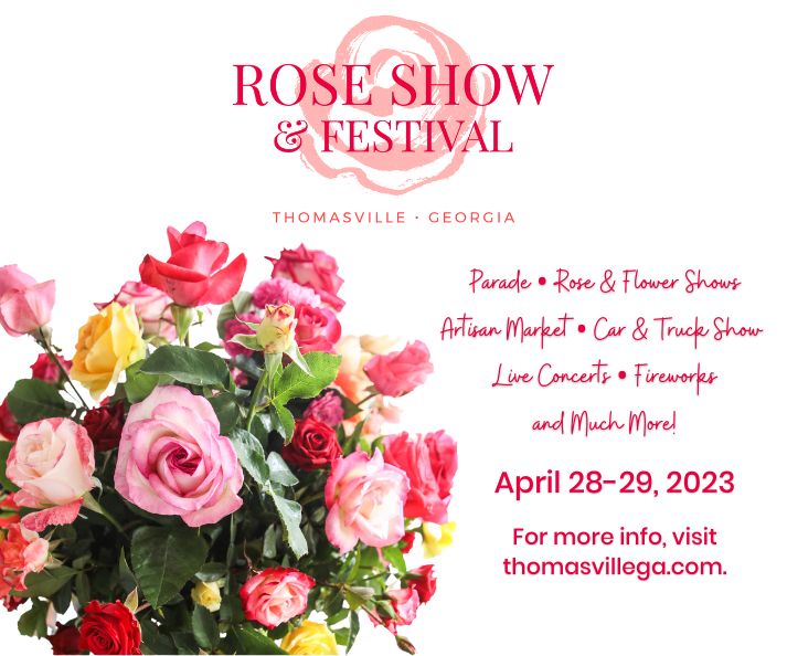 Rose Show & Festival