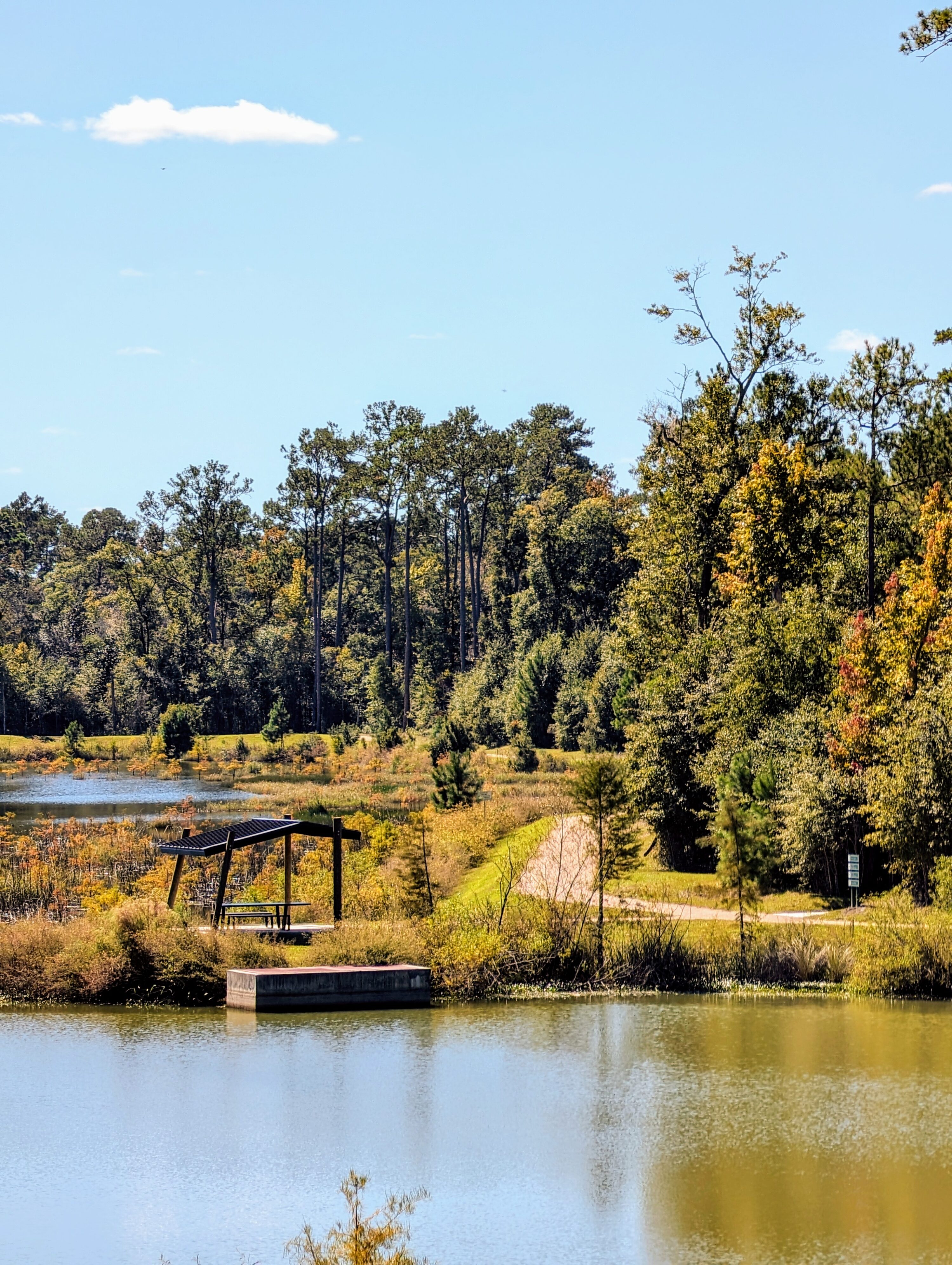 Best Fall Foliage Spots in Tallahassee | Tallahassee in the Fall
