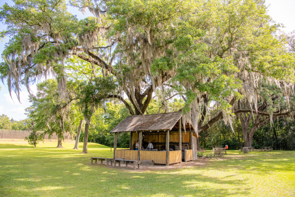 Mission San Luis