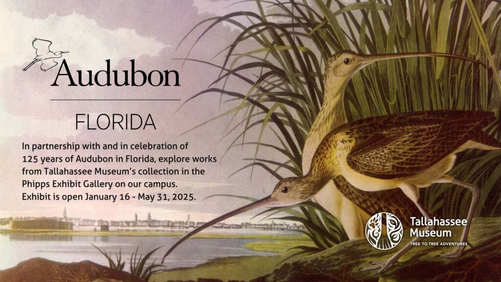 125 Years of Audubon in Florida Exhibit