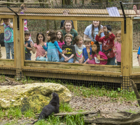 Tallahassee Museum