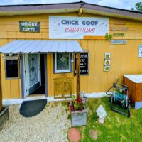Chic Coop Creations & A Rooster