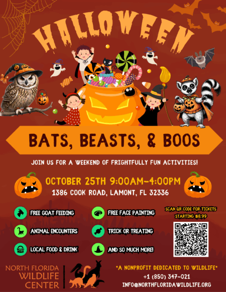 Bats, Beasts, and Boos!