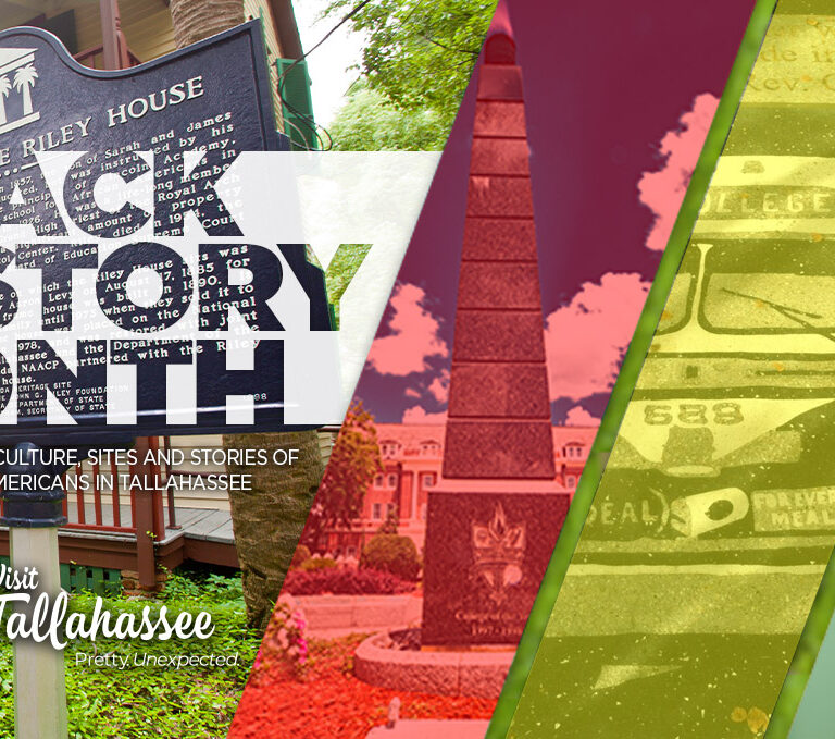 Celebrate black history month in tallahassee