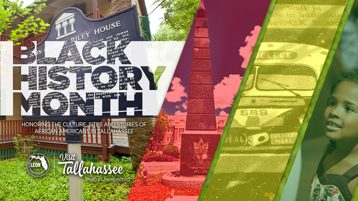 Celebrate black history month in tallahassee