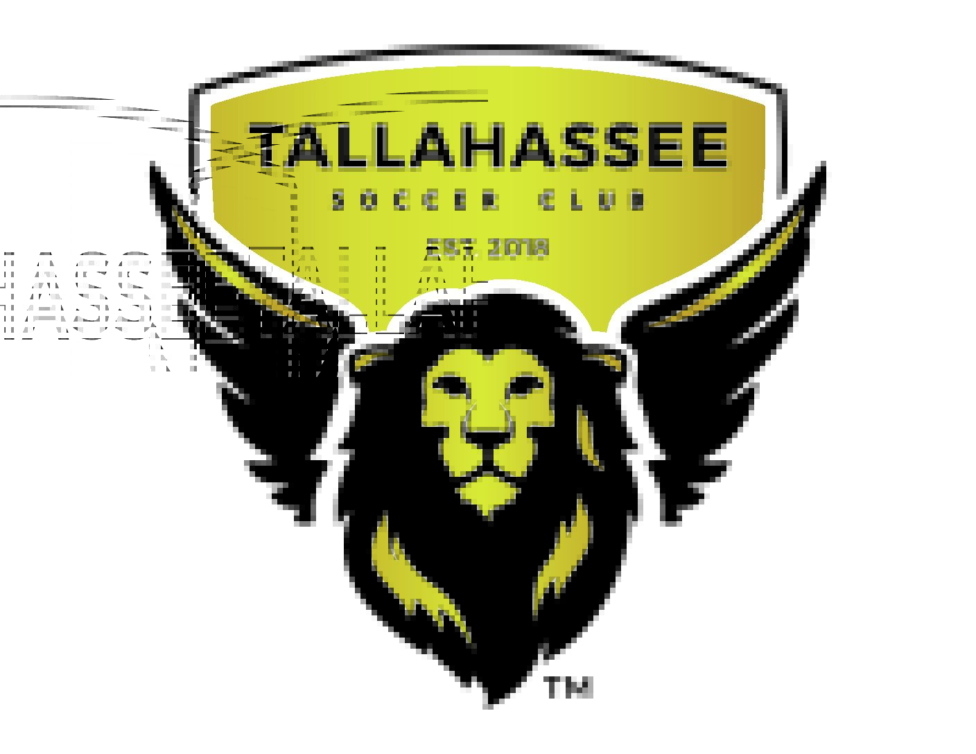 Tallahassee Soccer Club vs PSC Panama City FC: June 3, 2026