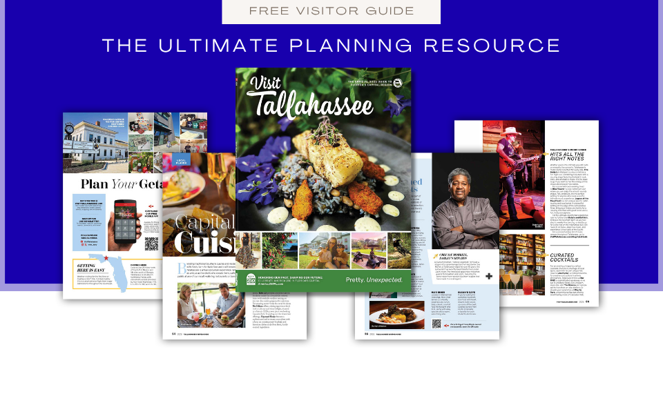 Discover Tallahassee blog posts