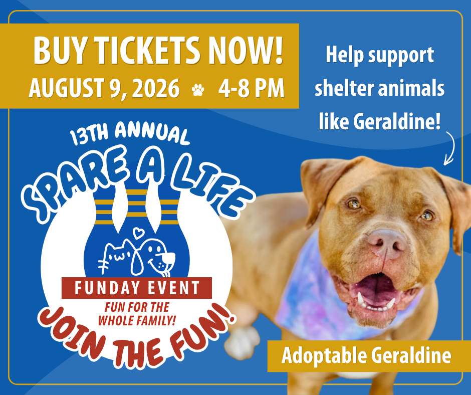 13th Annual Spare A Life Funday