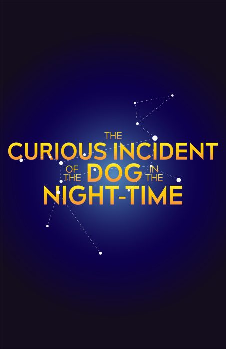 The Curious Incident of the Dog in the Night-Time