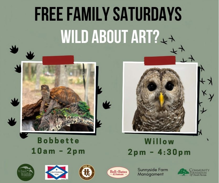 Free Family Saturday: Wild About Art